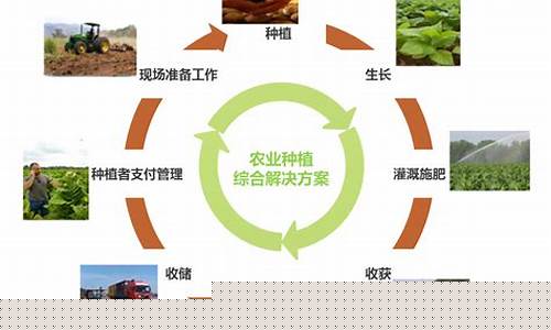 生态农业分为3种模式(生态农业包括哪三种)_https://www.hhem8.com_上交所_第1张