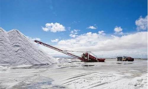 盐湖提锂技术龙头企业排名(盐湖提锂技术设备股)_上交所_第1张_财经网 盐湖提锂技术龙头企业排名(盐湖提锂技术设备股)_https://www.hhem8.com_上交所_第1张