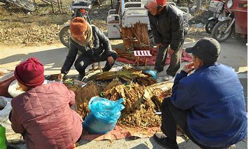 农村挣钱新商机(农村干点啥能挣钱呢)_https://www.hhem8.com_上交所_第1张