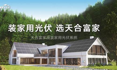 天合富家光伏发电公司法人(天合富家光伏发电行吗)_https://www.hhem8.com_深交所_第1张