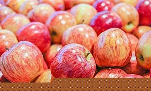 期货苹果基本面(苹果期货基本分析)_https://www.hhem8.com_深交所_第1张