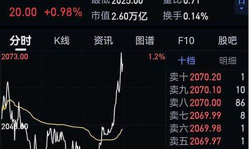 净资产18元股价却8元(2024未来可能涨100倍的股票)_https://www.hhem8.com_北交所_第1张
