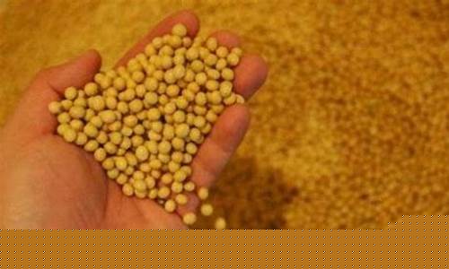 国内期货豆粕和国外豆粕(豆粕期货和豆粕etf)_上交所_第1张_财经网 国内期货豆粕和国外豆粕(豆粕期货和豆粕etf)_https://www.hhem8.com_上交所_第1张