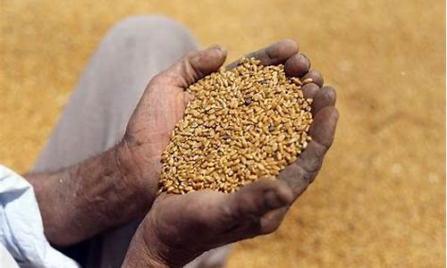 期货粮食(期货粮食价格水稻多少钱一斤呢)_深交所_第1张_财经网 期货粮食(期货粮食价格水稻多少钱一斤呢)_https://www.hhem8.com_深交所_第1张