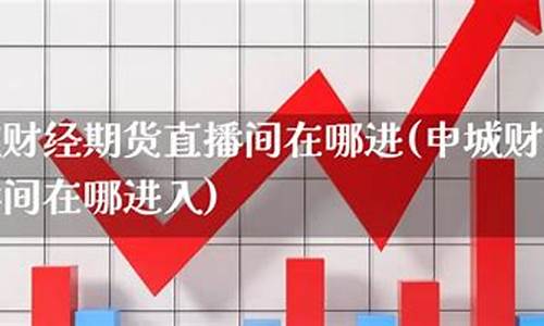 申城财经期货直播间怎么进入(申城财经期货直播间怎么进入的)_https://www.hhem8.com_北交所_第1张
