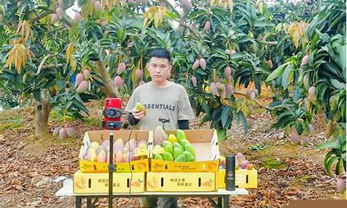 外盘期货芒果直播(芒果期货直播室外盘)_https://www.hhem8.com_北交所_第1张