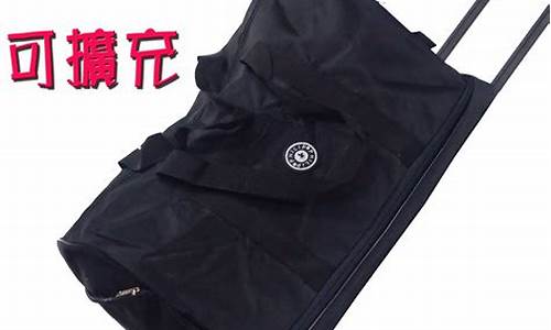 国泰手提行李两个包可以吗(国泰一个行李额多少钱)_https://www.hhem8.com_上交所_第1张