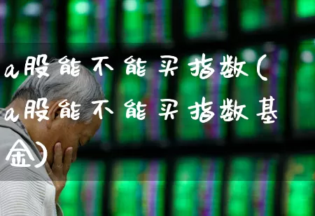 a股能不能买指数(a股能不能买指数基金)_https://www.hhem8.com_上交所_第1张
