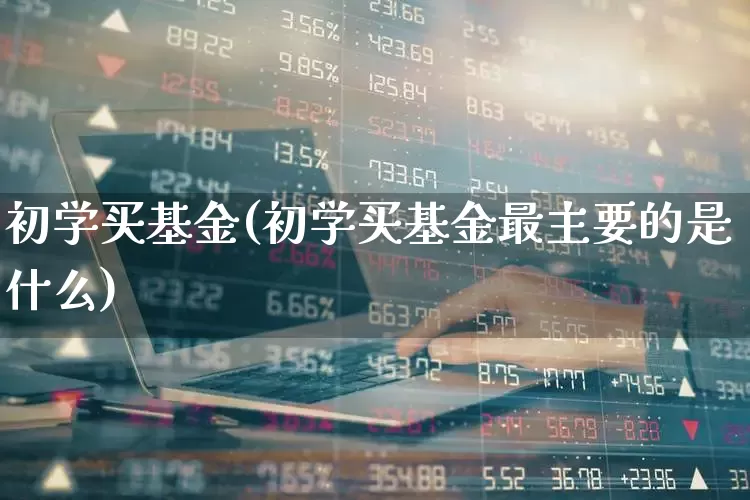 初学买基金(初学买基金最主要的是什么)_https://www.hhem8.com_科创板_第1张