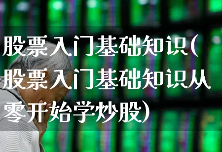 股票入门基础知识(股票入门基础知识从零开始学炒股)_https://www.hhem8.com_创业板_第1张