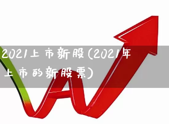 2021上市新股(2021年上市的新股票)_https://www.hhem8.com_北交所_第1张