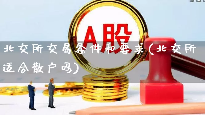 北交所交易条件和要求(北交所适合散户吗)_https://www.hhem8.com_创业板_第1张