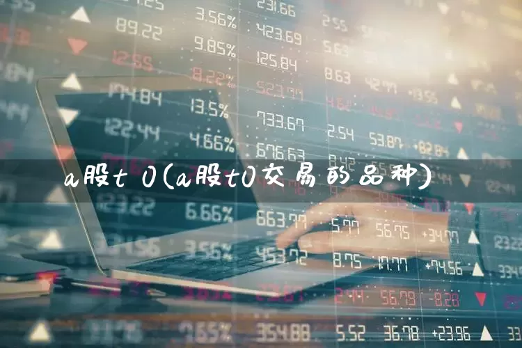 a股t 0(a股t0交易的品种)_https://www.hhem8.com_创业板_第1张