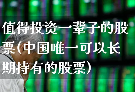 值得投资一辈子的股票(中国唯一可以长期持有的股票)_https://www.hhem8.com_上交所_第1张