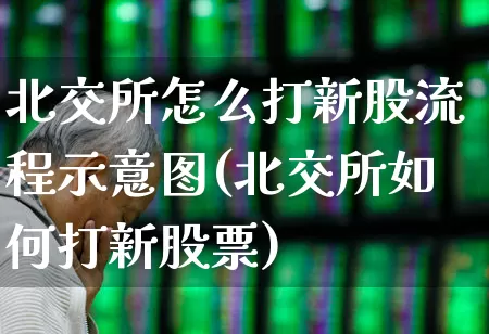北交所怎么打新股流程示意图(北交所如何打新股票)_https://www.hhem8.com_创业板_第1张