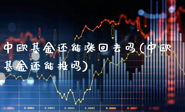 中欧基金还能涨回去吗(中欧基金还能投吗)_https://www.hhem8.com_创业板_第1张