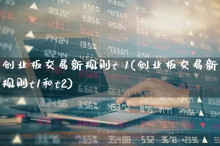 创业板交易新规则t 1(创业板交易新规则t1和t2)_https://www.hhem8.com_北交所_第1张