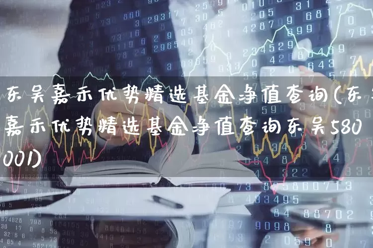 东吴嘉禾优势精选基金净值查询(东吴嘉禾优势精选基金净值查询东吴580001)_https://www.hhem8.com_上交所_第1张