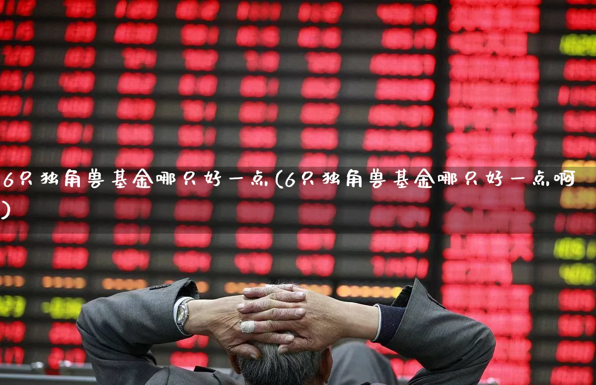 6只独角兽基金哪只好一点(6只独角兽基金哪只好一点啊)_https://www.hhem8.com_深交所_第1张