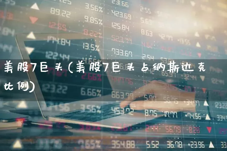 美股7巨头(美股7巨头占纳斯达克比例)_https://www.hhem8.com_科创板_第1张
