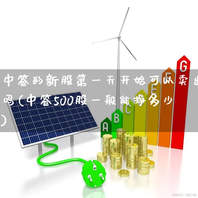 中签的新股第一天开始可以卖出吗(中签500股一般能挣多少)_https://www.hhem8.com_深交所_第1张