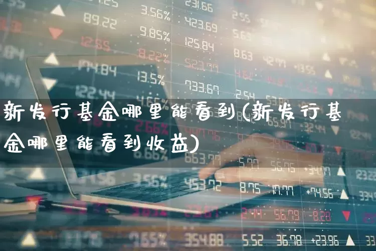 新发行基金哪里能看到(新发行基金哪里能看到收益)_https://www.hhem8.com_上交所_第1张