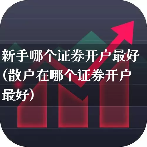 新手哪个证券开户最好(散户在哪个证券开户最好)_https://www.hhem8.com_北交所_第1张