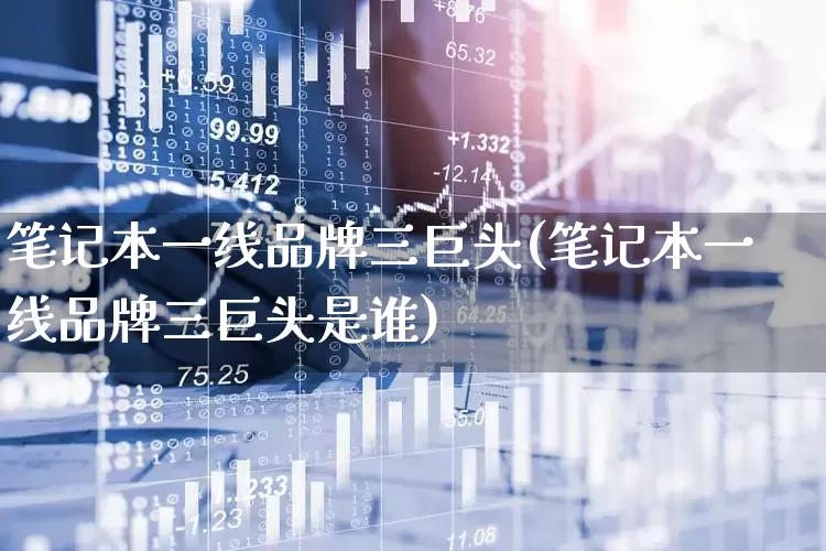笔记本一线品牌三巨头(笔记本一线品牌三巨头是谁)_https://www.hhem8.com_科创板_第1张
