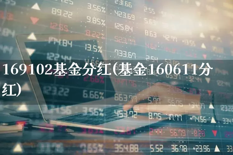 169102基金分红(基金160611分红)_https://www.hhem8.com_创业板_第1张