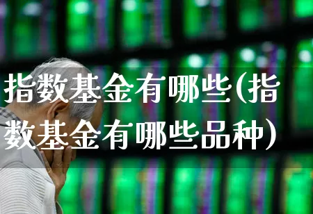 指数基金有哪些(指数基金有哪些品种)_https://www.hhem8.com_科创板_第1张