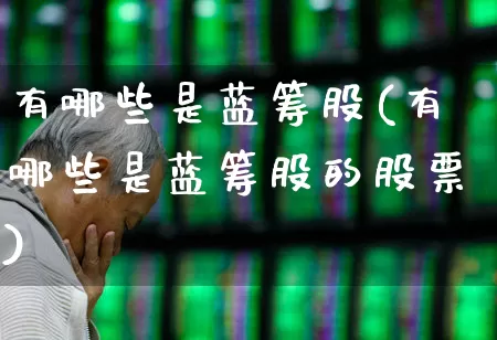 有哪些是蓝筹股(有哪些是蓝筹股的股票)_https://www.hhem8.com_北交所_第1张