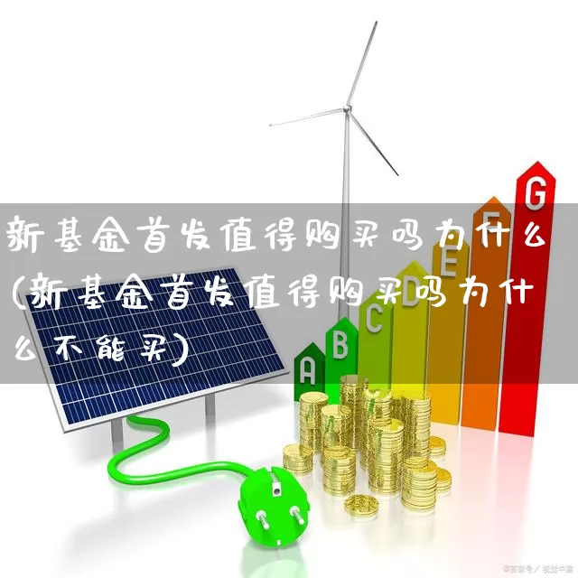 新基金首发值得购买吗为什么(新基金首发值得购买吗为什么不能买)_https://www.hhem8.com_科创板_第1张