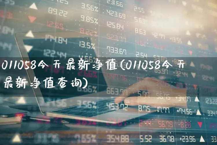 011058今天最新净值(011058今天最新净值查询)_https://www.hhem8.com_创业板_第1张