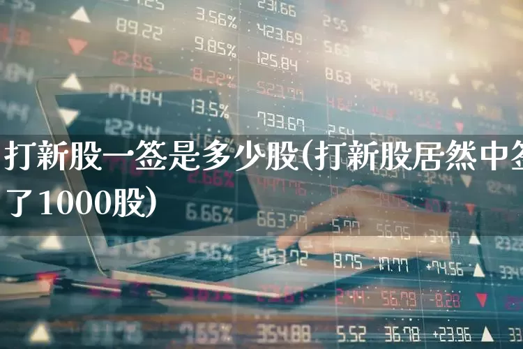 打新股一签是多少股(打新股居然中签了1000股)_https://www.hhem8.com_深交所_第1张
