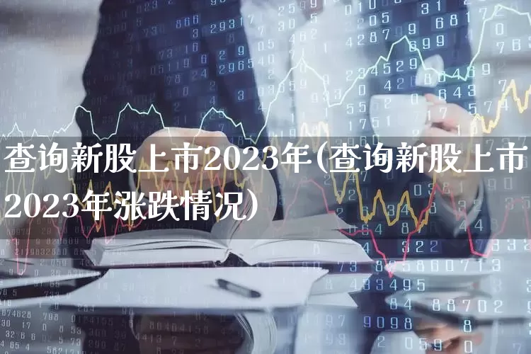 查询新股上市2023年(查询新股上市2023年涨跌情况)_https://www.hhem8.com_科创板_第1张