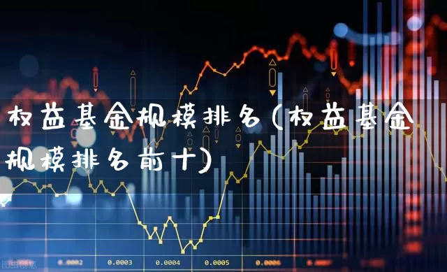 权益基金规模排名(权益基金规模排名前十)_https://www.hhem8.com_深交所_第1张