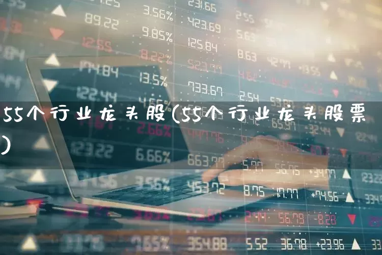 55个行业龙头股(55个行业龙头股票)_https://www.hhem8.com_科创板_第1张