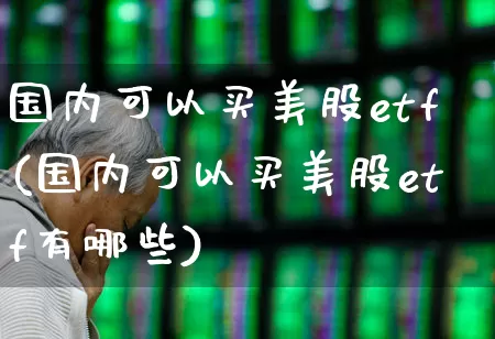 国内可以买美股etf(国内可以买美股etf有哪些)_https://www.hhem8.com_科创板_第1张