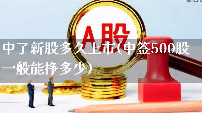 中了新股多久上市(中签500股一般能挣多少)_https://www.hhem8.com_创业板_第1张