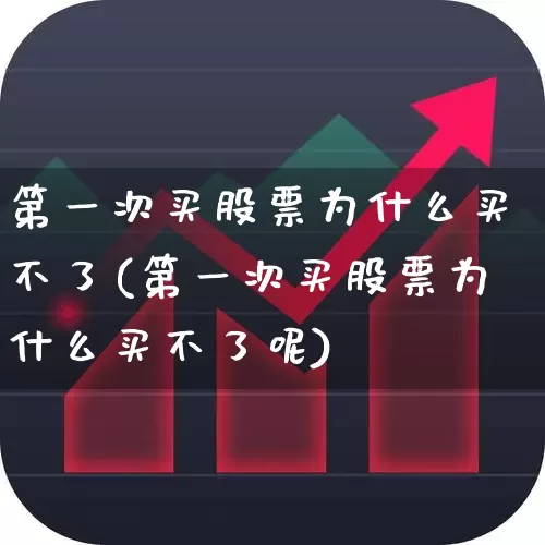 第一次买股票为什么买不了(第一次买股票为什么买不了呢)_https://www.hhem8.com_科创板_第1张