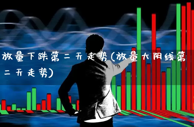 放量下跌第二天走势(放量大阴线第二天走势)_https://www.hhem8.com_上交所_第1张