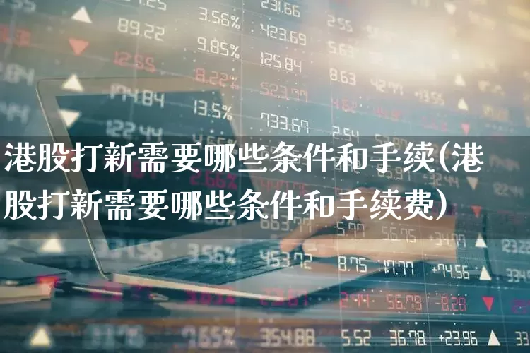 港股打新需要哪些条件和手续(港股打新需要哪些条件和手续费)_https://www.hhem8.com_创业板_第1张