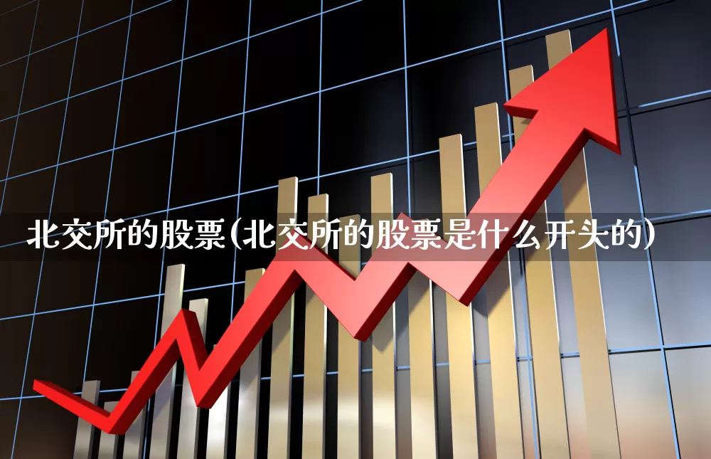 北交所的股票(北交所的股票是什么开头的)_https://www.hhem8.com_科创板_第1张