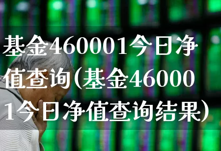 基金460001今日净值查询(基金460001今日净值查询结果)_https://www.hhem8.com_科创板_第1张
