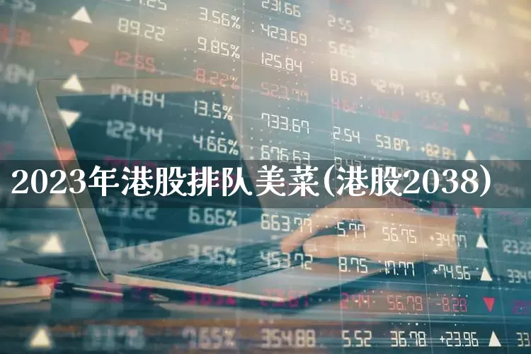 2023年港股排队美菜(港股2038)_https://www.hhem8.com_深交所_第1张