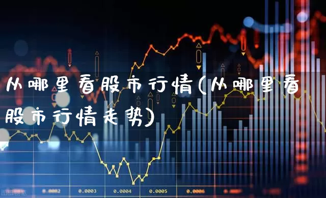 从哪里看股市行情(从哪里看股市行情走势)_https://www.hhem8.com_科创板_第1张