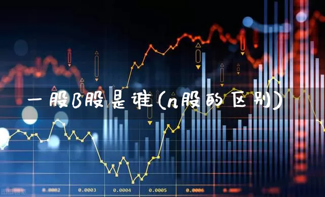 一股B股是谁(n股的区别)_https://www.hhem8.com_科创板_第1张