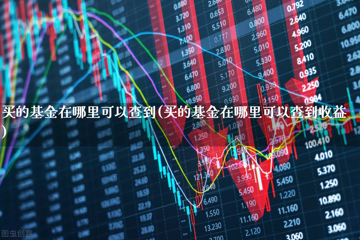 买的基金在哪里可以查到(买的基金在哪里可以查到收益)_https://www.hhem8.com_深交所_第1张