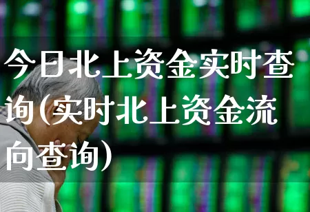 今日北上资金实时查询(实时北上资金流向查询)_https://www.hhem8.com_科创板_第1张