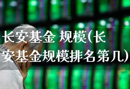 长安基金 规模(长安基金规模排名第几)_https://www.hhem8.com_深交所_第1张